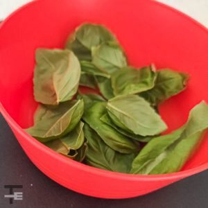Pesto con burrata-1