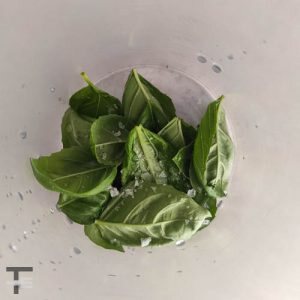 Pesto con burrata-1